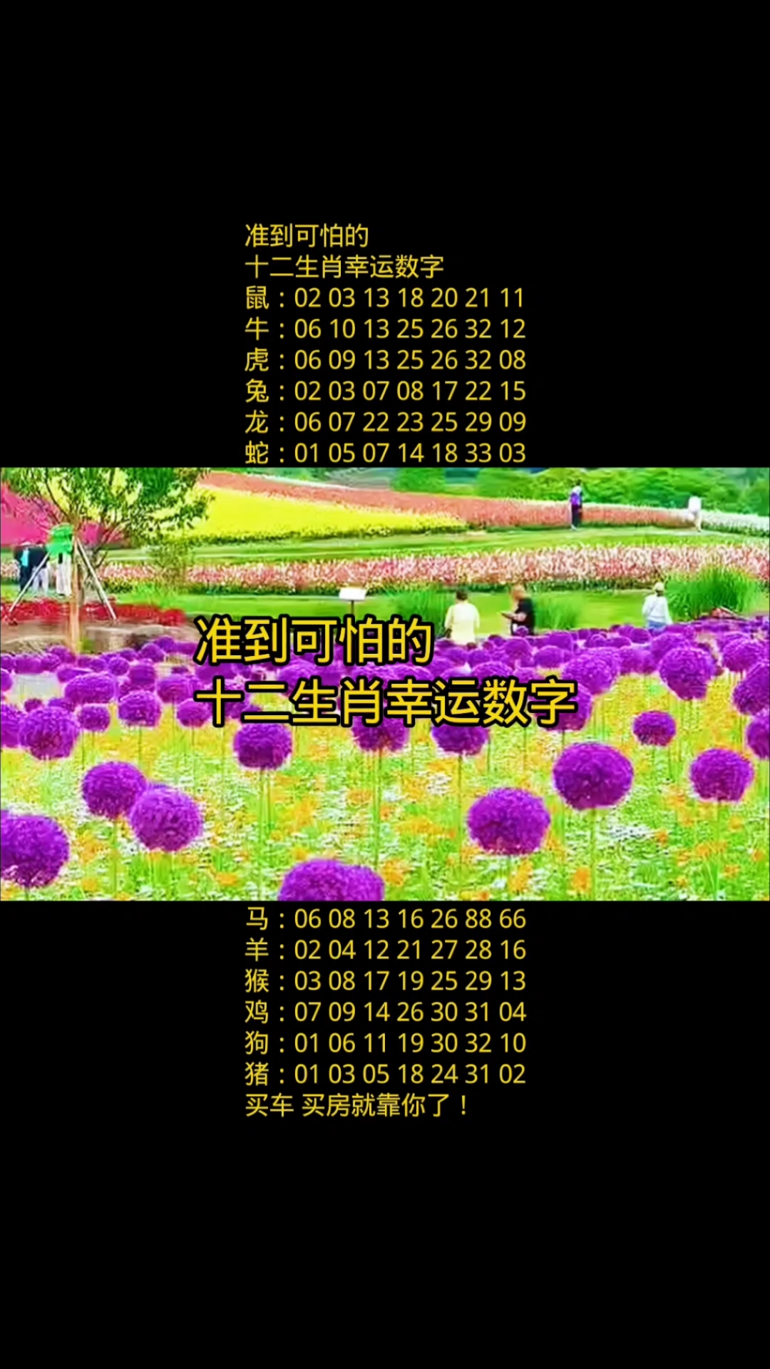 准到可怕的十二生肖幸运数字
