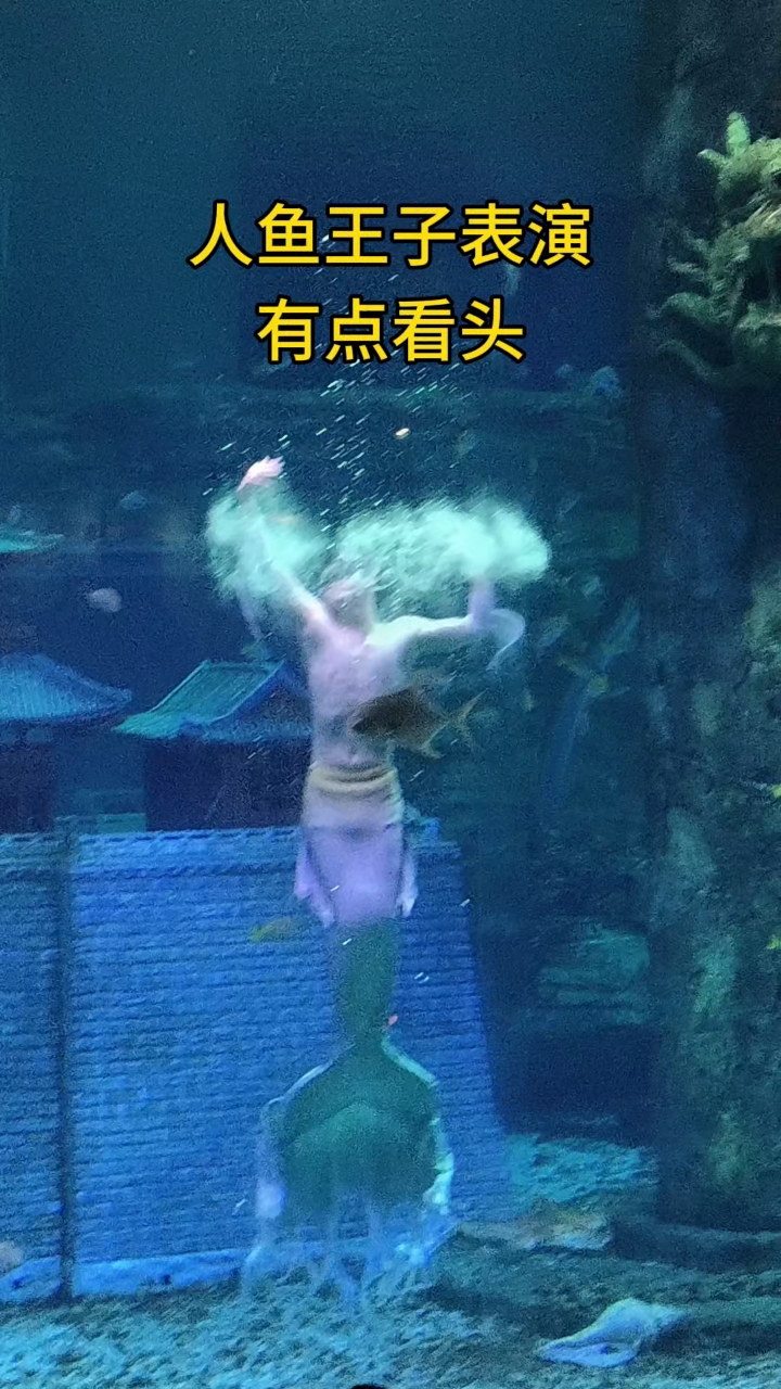 人鱼王子水下表演有点看头#美人鱼#人鱼样子#水下表演