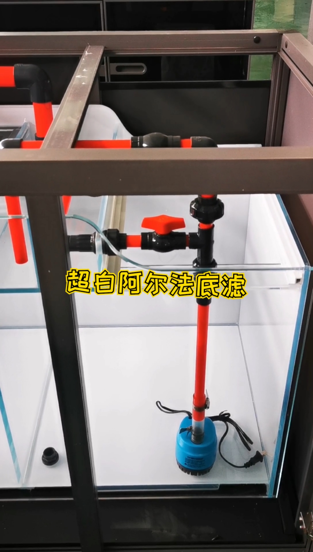 博世龙鱼缸,超白流线型困水仓一体底滤