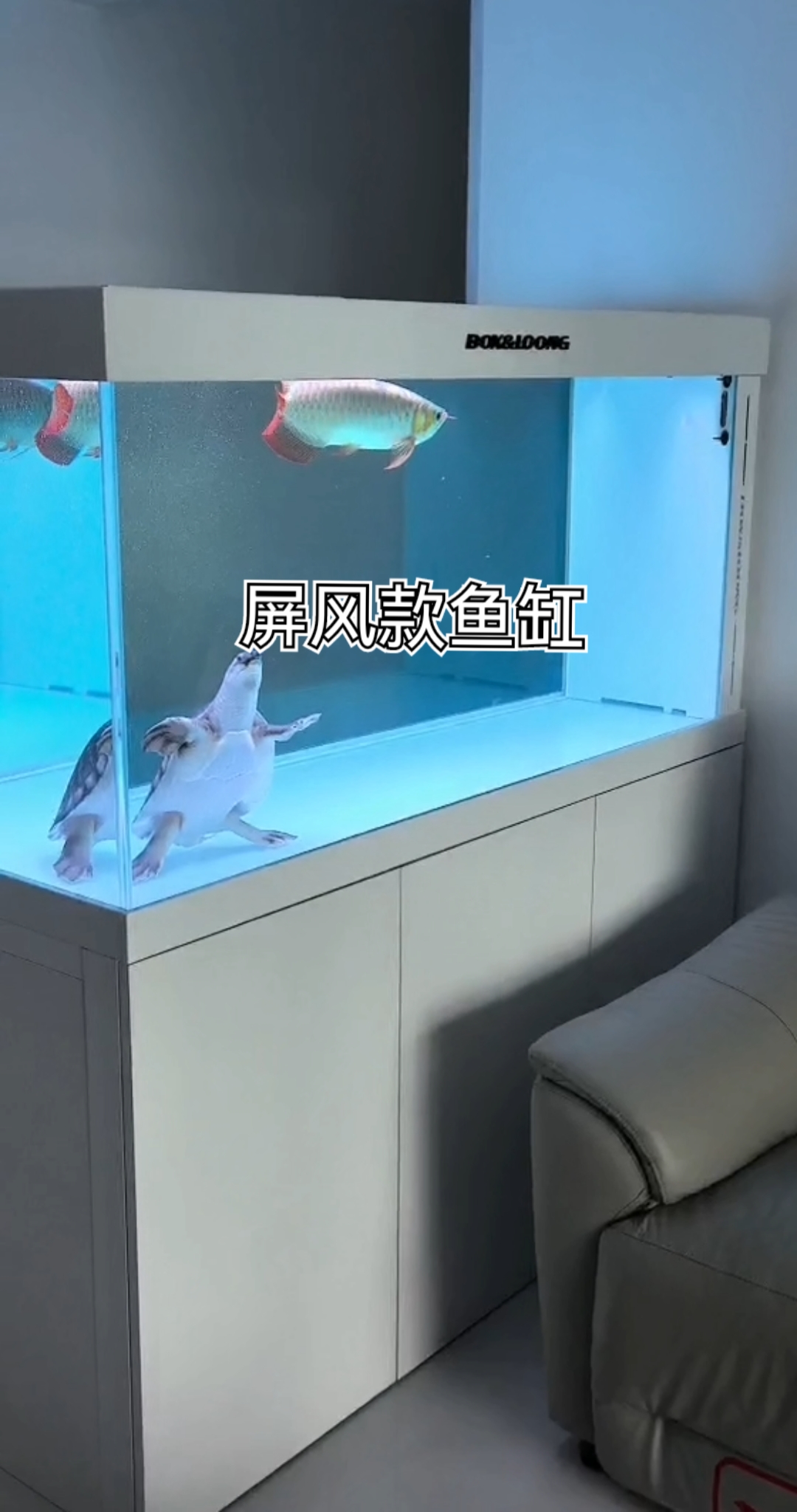 博世龙屏风款鱼缸,家里的一道风景线也是装饰品
