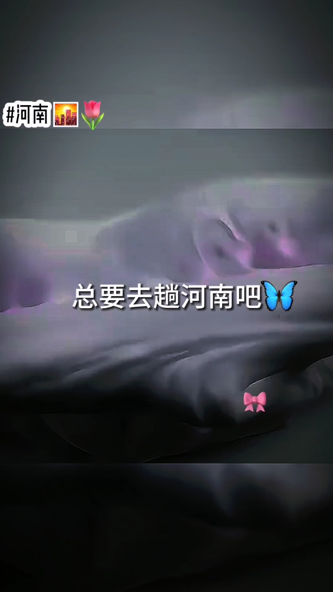 雨露:总要去趟河南吧づ