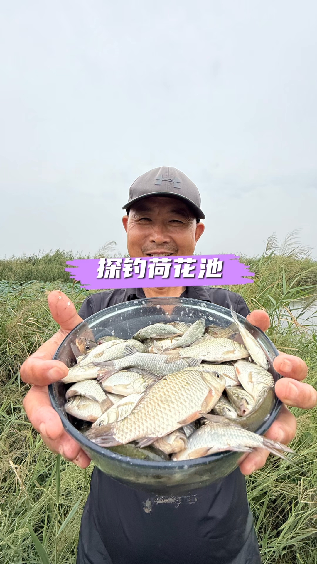 在荷花池里找到了鱼窝，这鱼也太多了吧