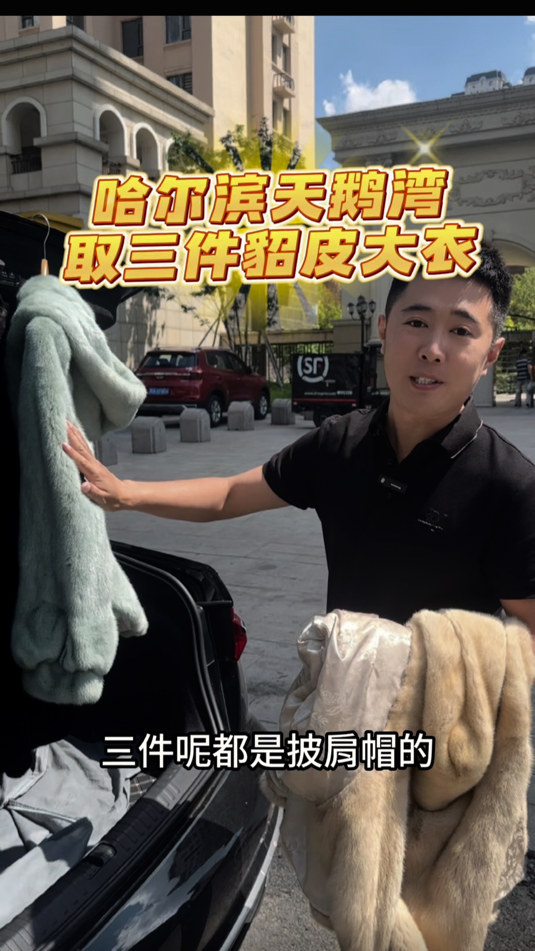 哈尔滨天鹅湾3貂皮