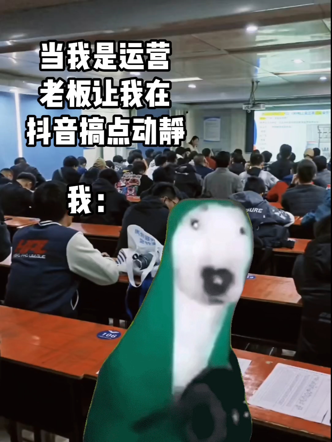 在合肥考电工证
