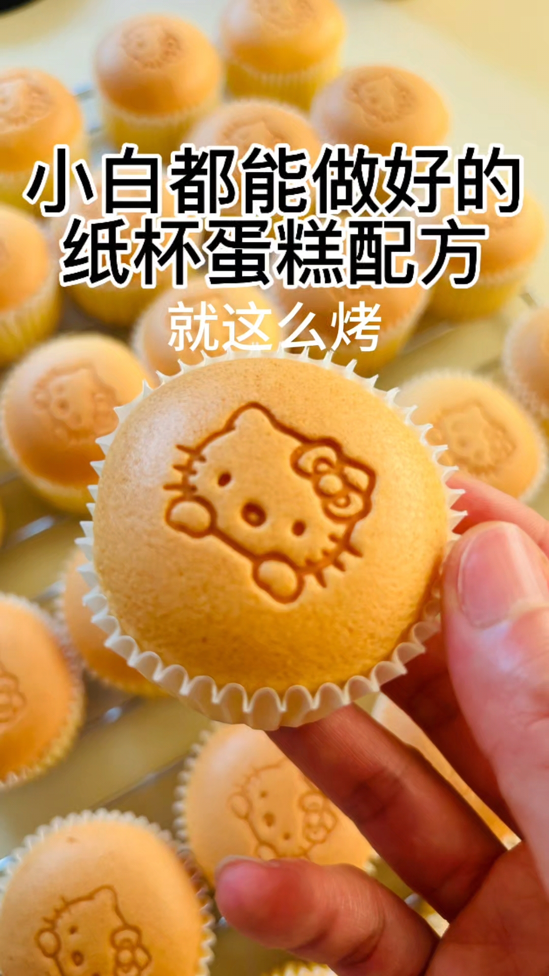 新手都烤好的纸杯蛋糕