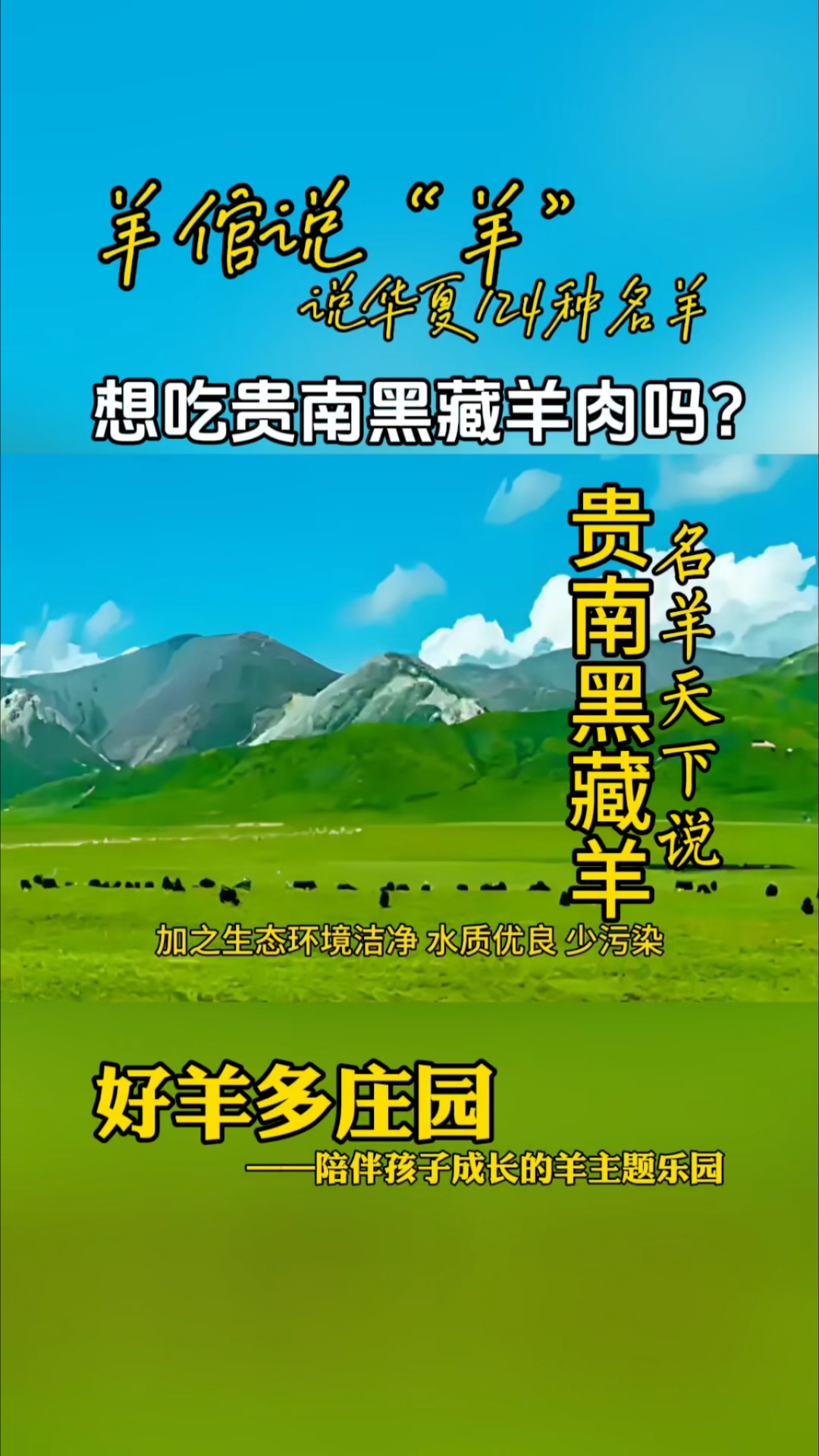 贵南黑藏羊肉好吃吗?