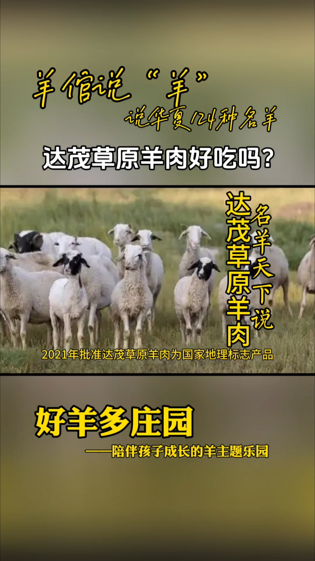 您想吃达茂草原羊肉吗?