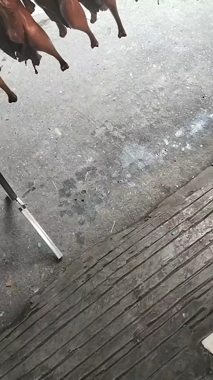 泸州独家秘方板鹅.酱鹅批发,顺丰包邮全国各地