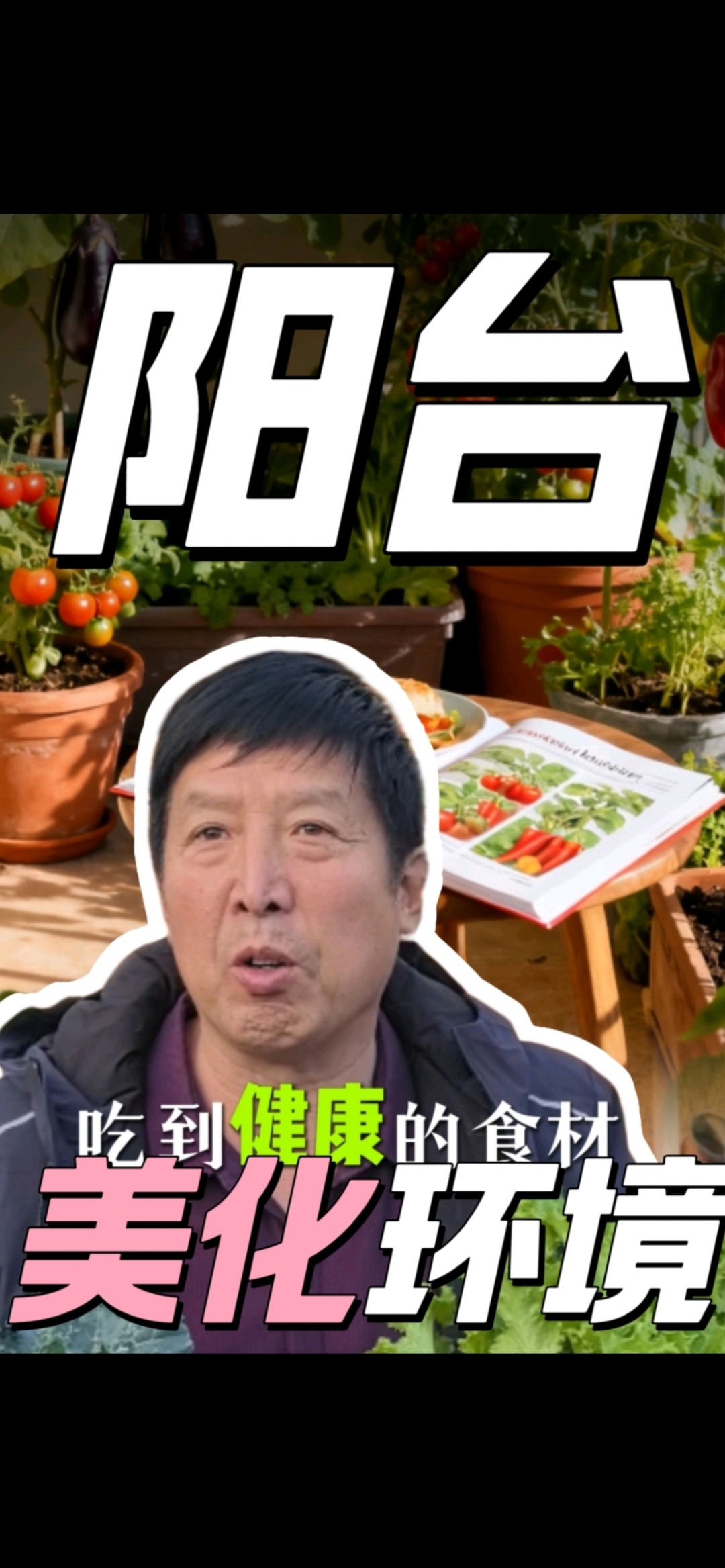 小小盆栽菜,撬动大市场!冬天阳台就能种:芹菜、生菜、油麦菜、