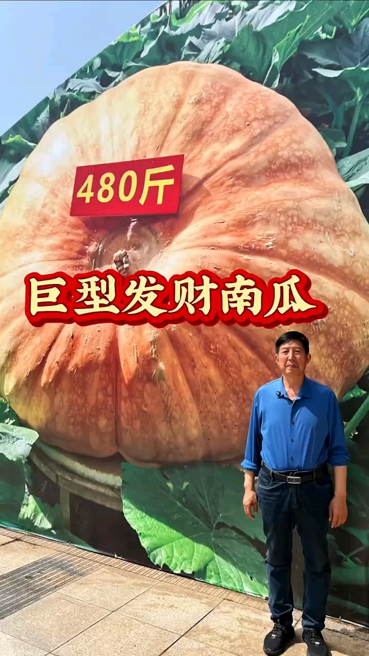中国寿光第二十七届国际蔬菜博览会上的巨型南瓜