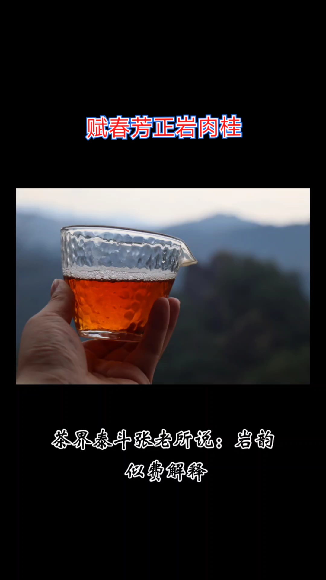 一杯念念不忘的武夷岩茶赋春芳正岩肉桂