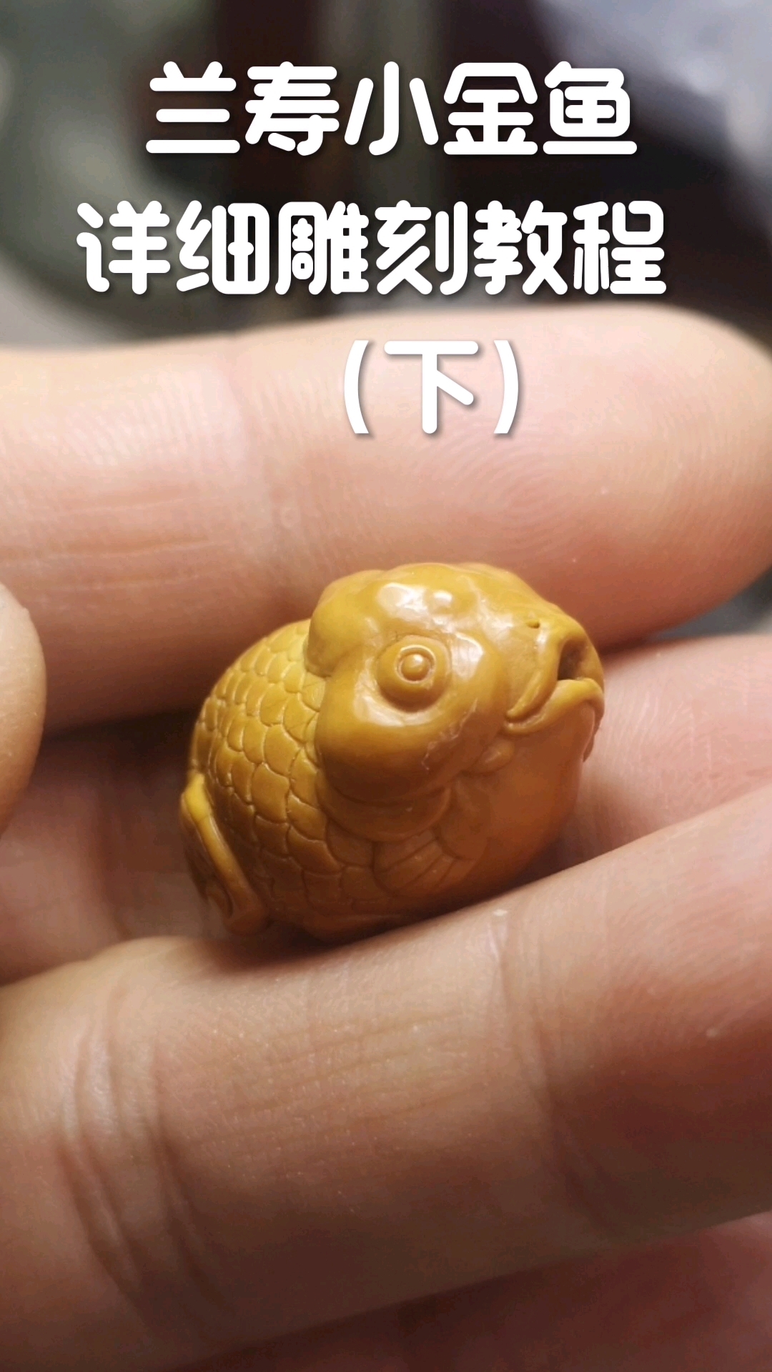 兰寿金鱼雕刻教程