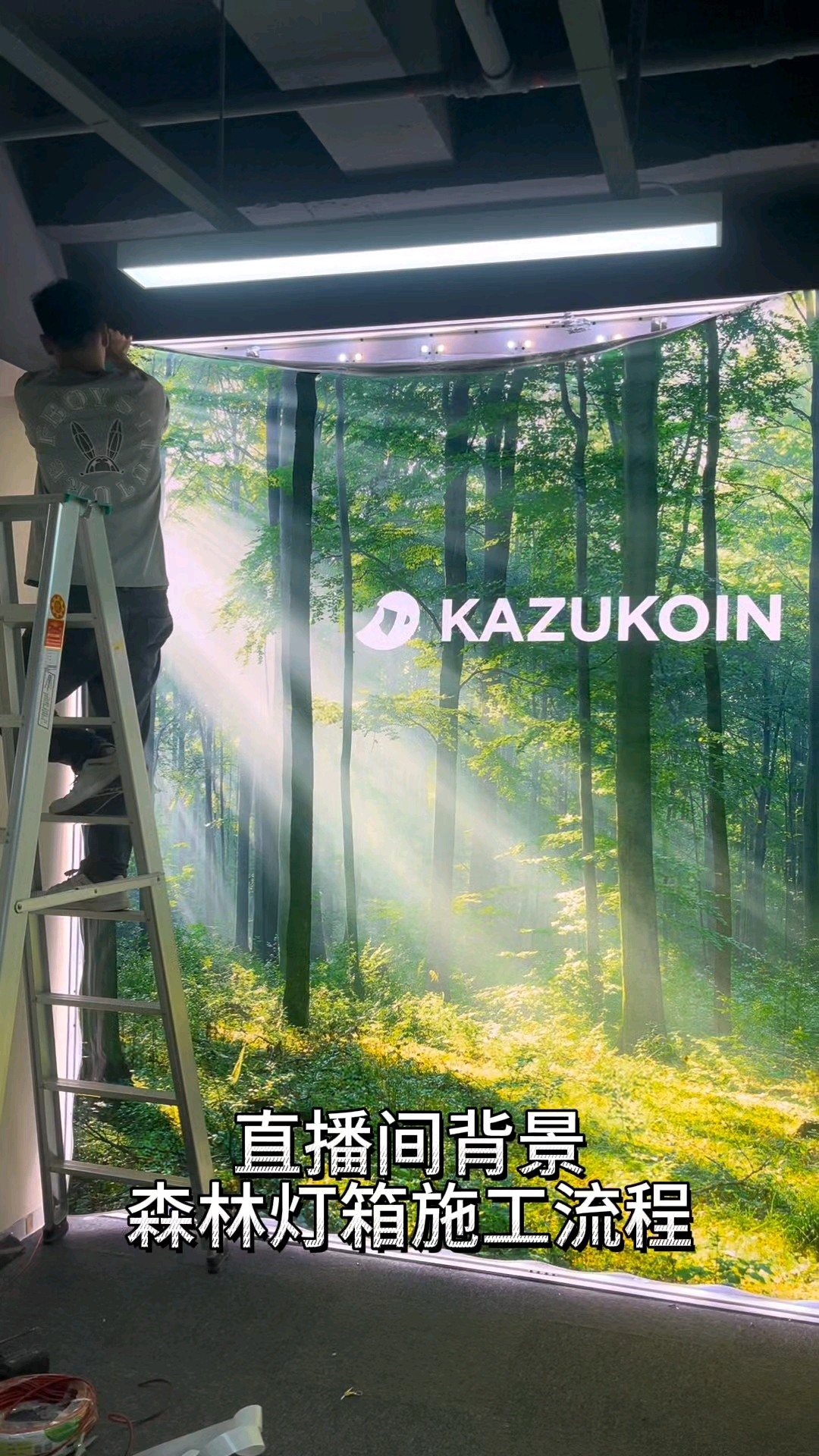 氛围感背景森林软膜灯箱效果