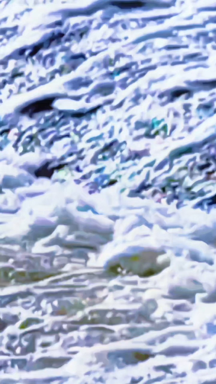 阿里克萨面包房的乡愁故事