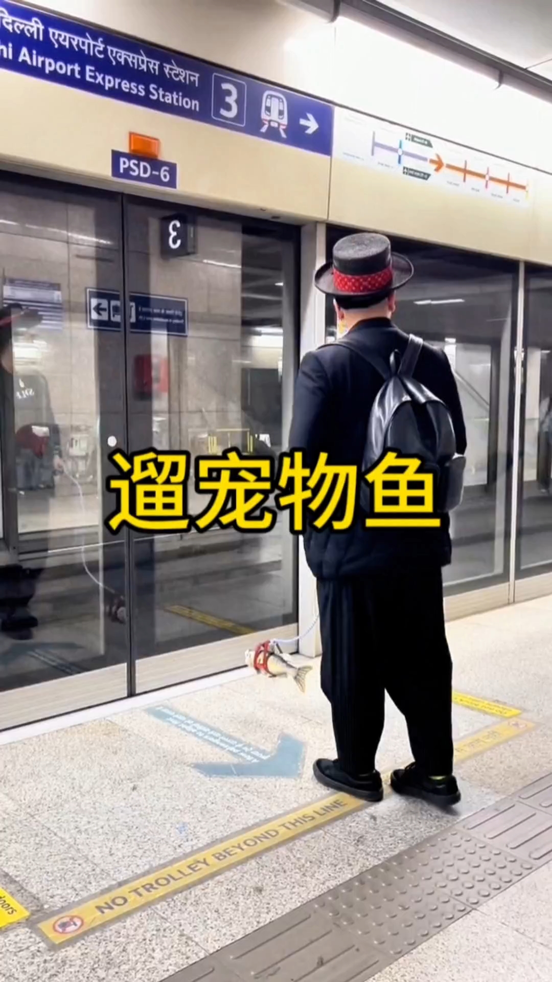 街头遛宠物鱼