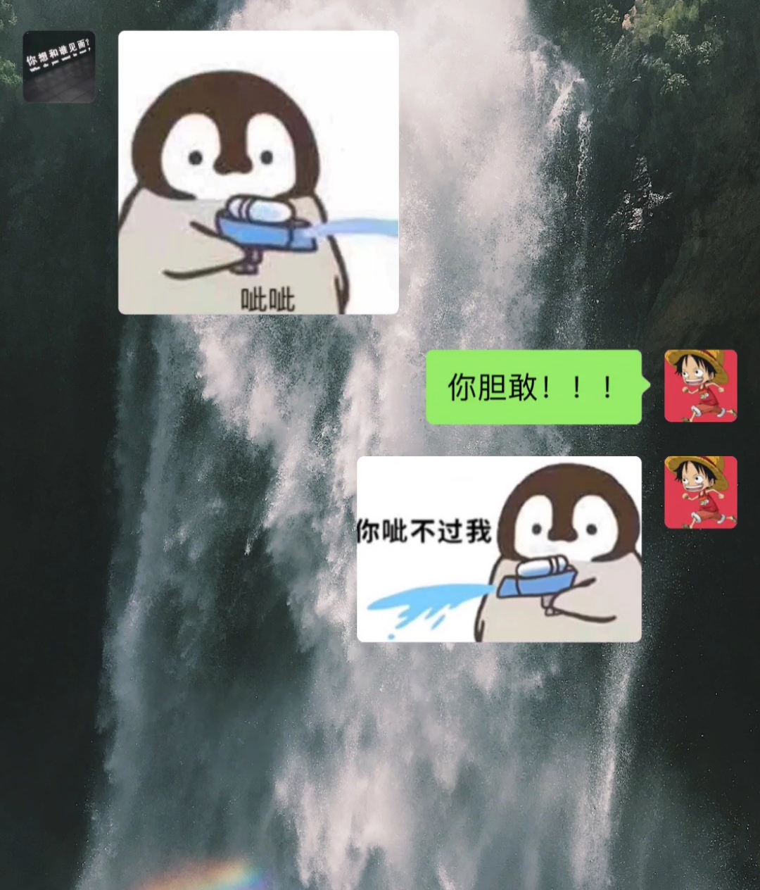 专属于夏日的表情包