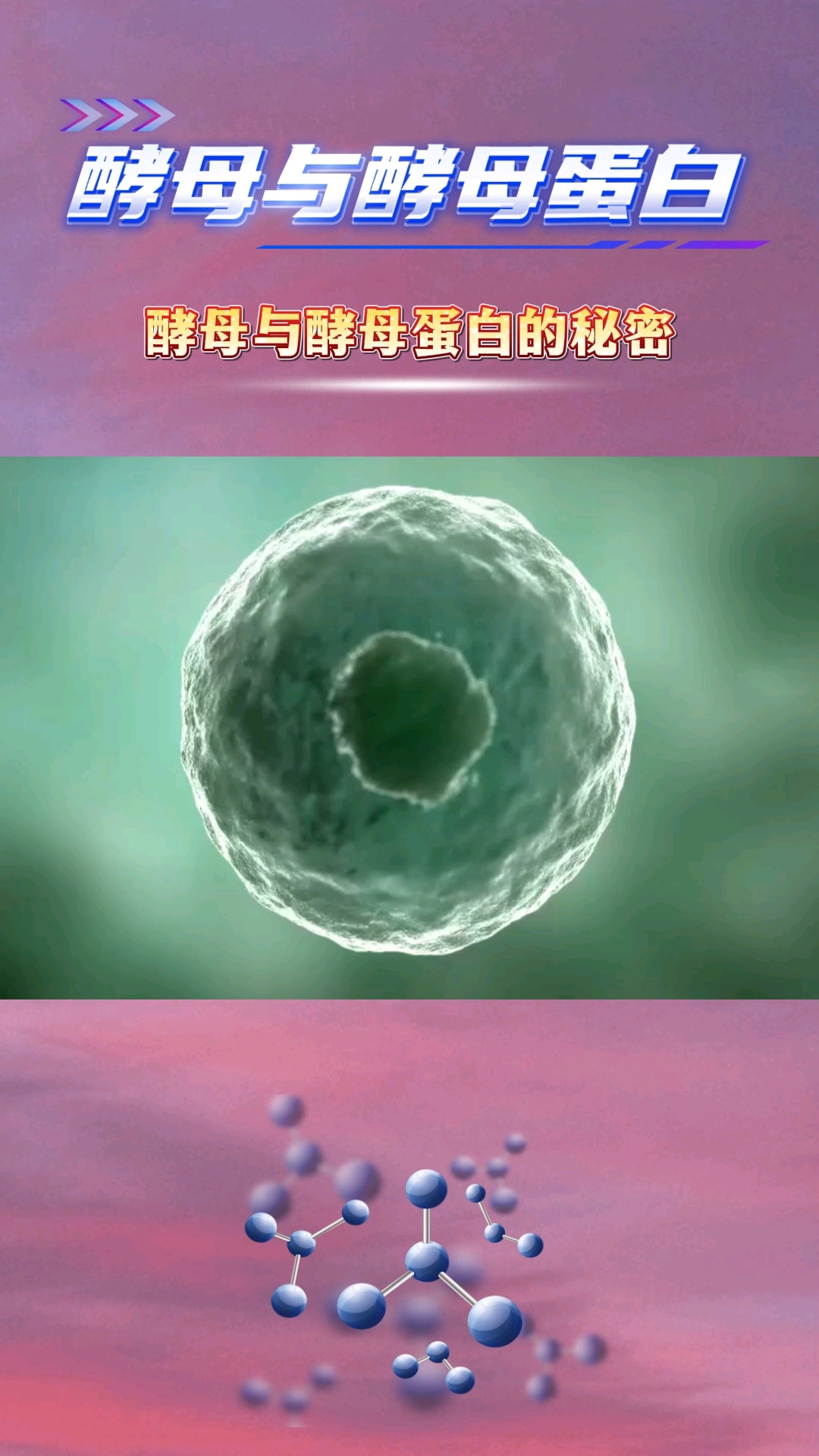 余生,我愿与你携手共度。满眼满心都是你。#珍奥酵母蛋白粉#全