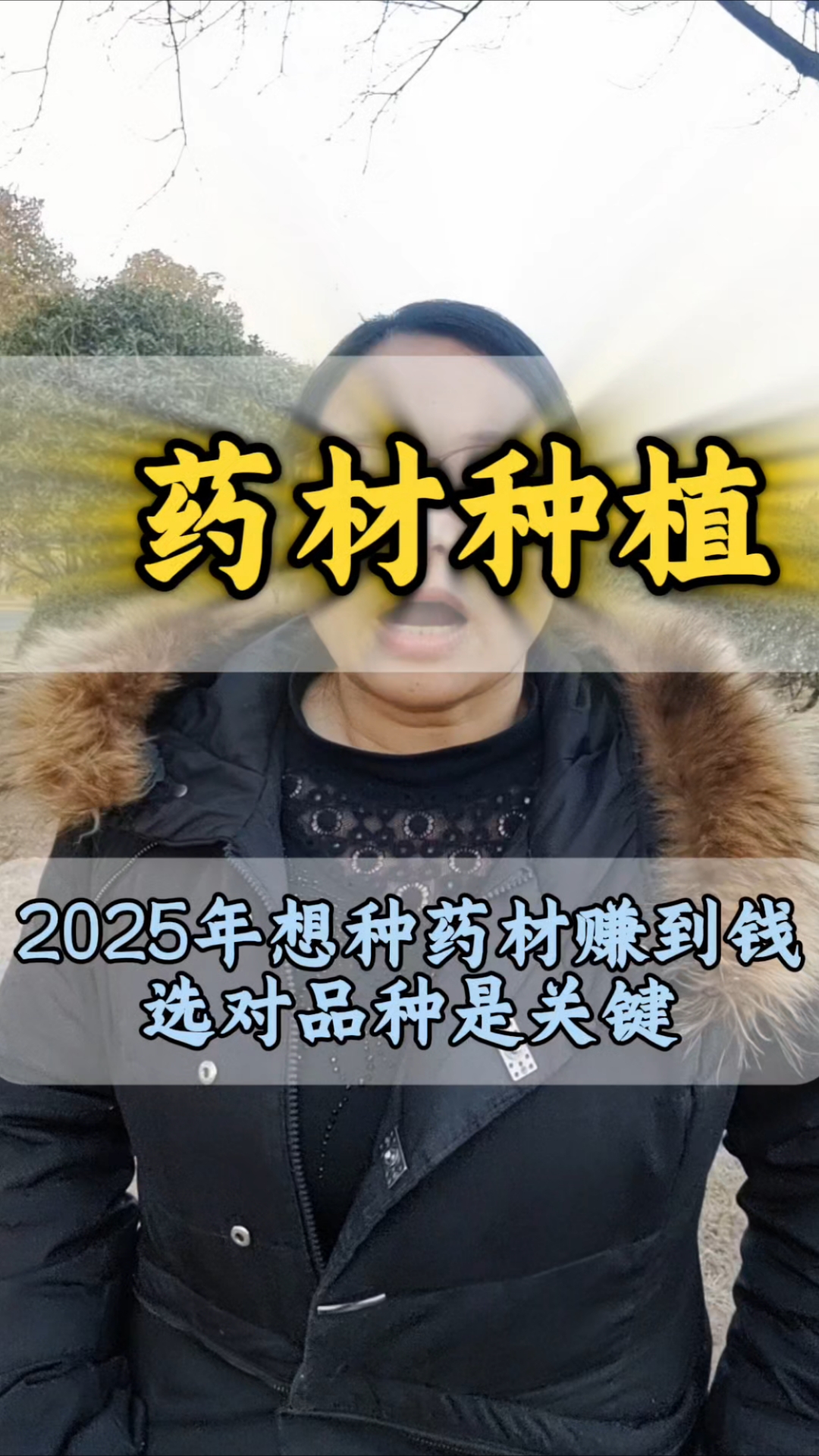 2025年想种药材赚到钱,选对品种是关键