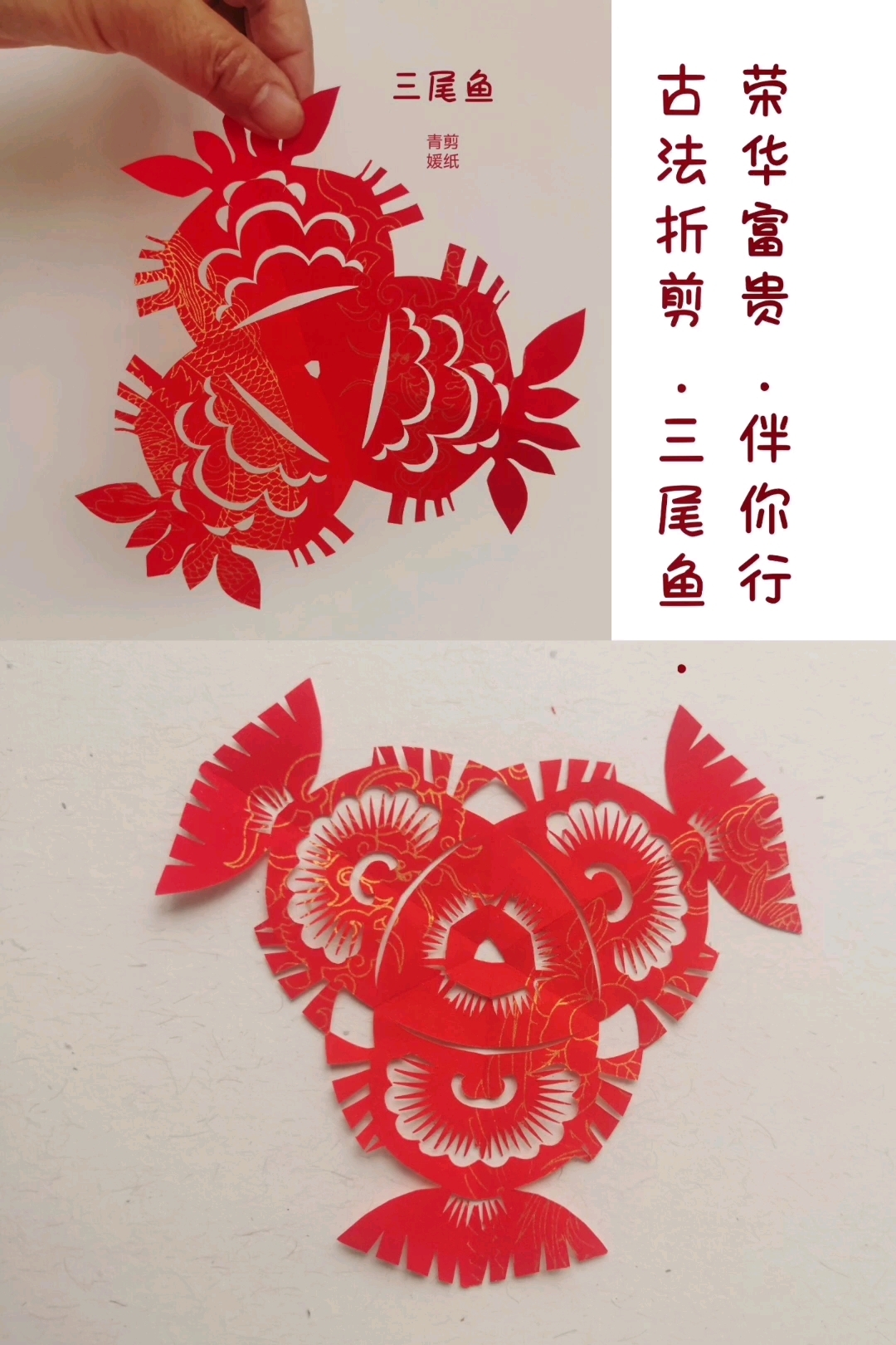 《三尾鱼》步骤图,青媛脱稿剪纸分享。