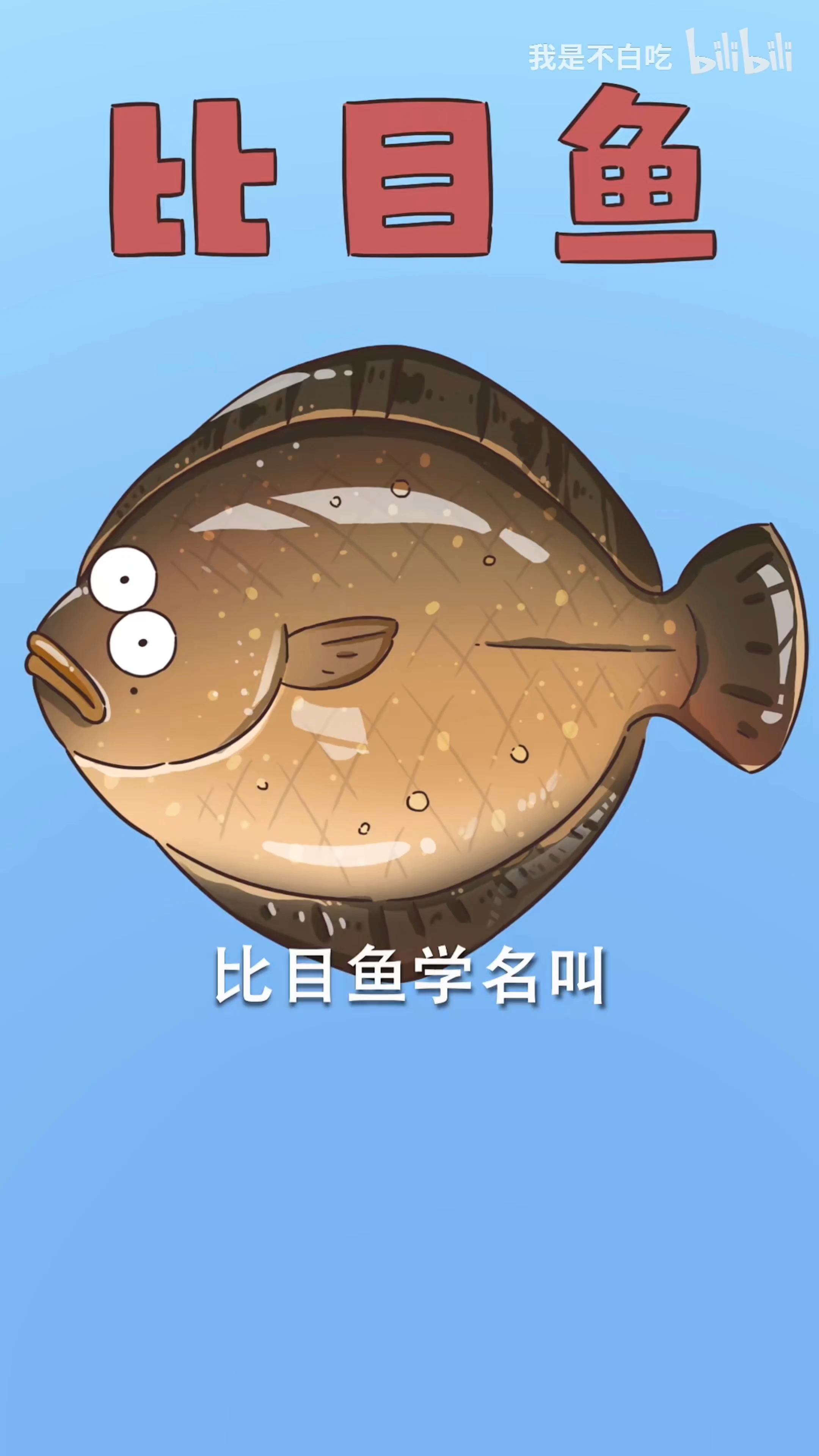 多宝鱼比目鱼的区别#新大陆计划# #新大陆计划#