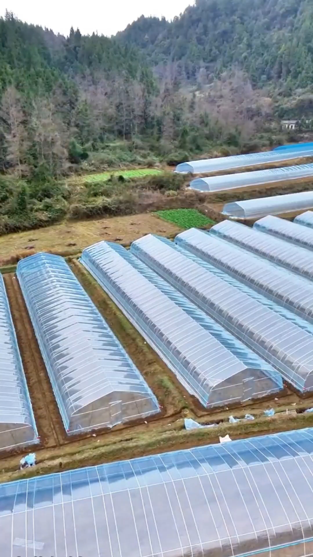 简易蔬菜大棚,助力山村扶贫