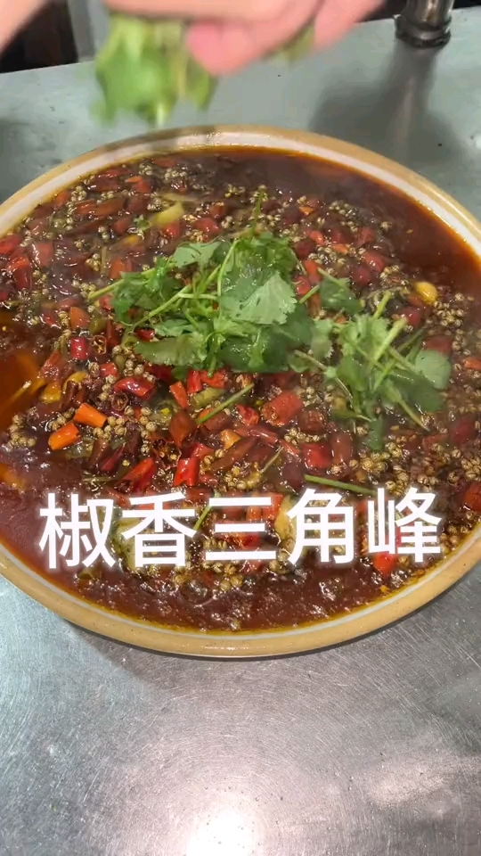 经典川菜,特色菜,融合菜各种特色秘制酱料实体店教学传承经典,