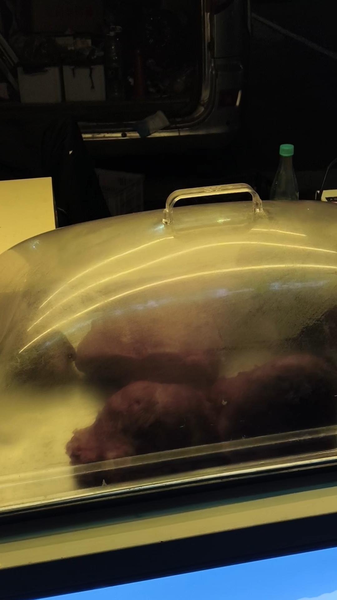 河南特产郑州风味名吃牛羊垛子肉入口化，这可是夕阳红重阳节美食