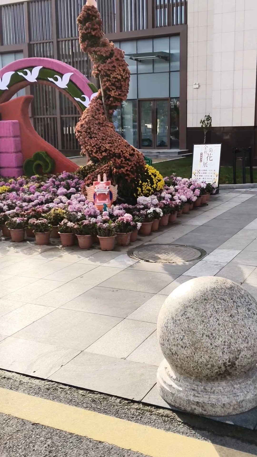 冬日美景秋意浓,自驾游开封服务区休息赏宋城菊花节展菊韵好时光
