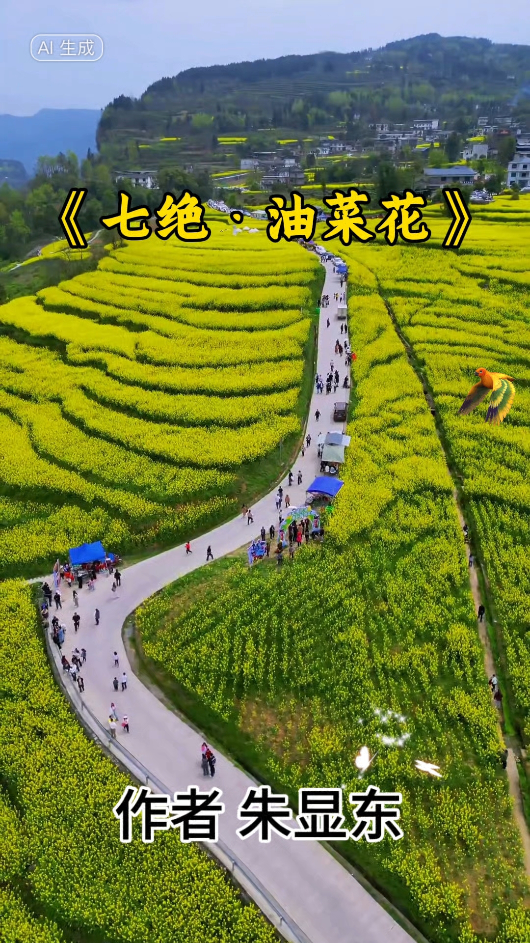 油菜花