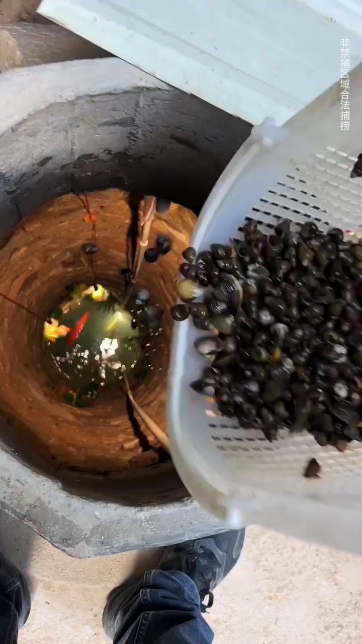 十斤的红鲤鱼烂尾了,草龟淹死了,过滤箱踩坏了,我麻了!!!!