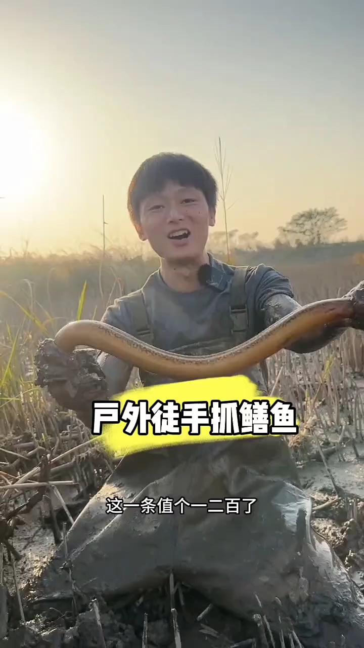 户外徒手抓巨物 #户外捕鱼  #户外抓鱼  #真实户外