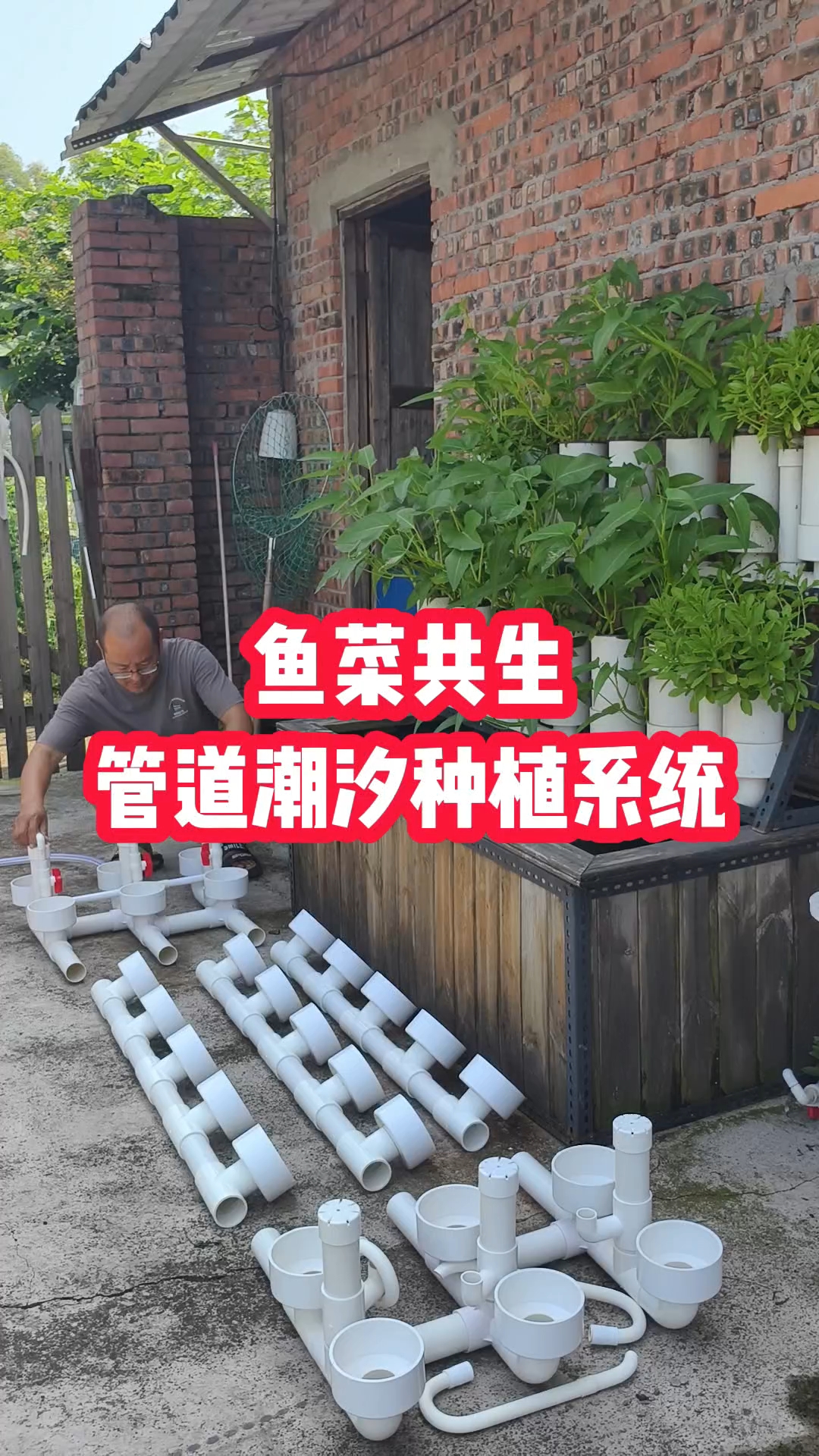 鱼菜共生管道潮汐循环种植系统