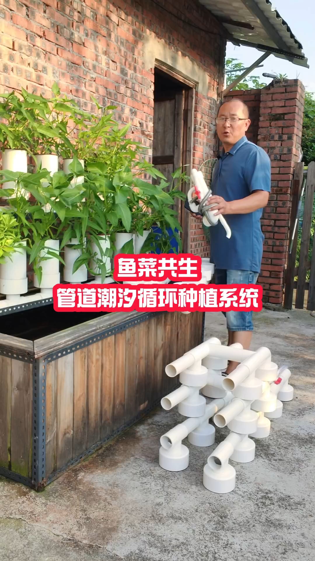 鱼菜共生管道潮汐循环种植系统三大功能