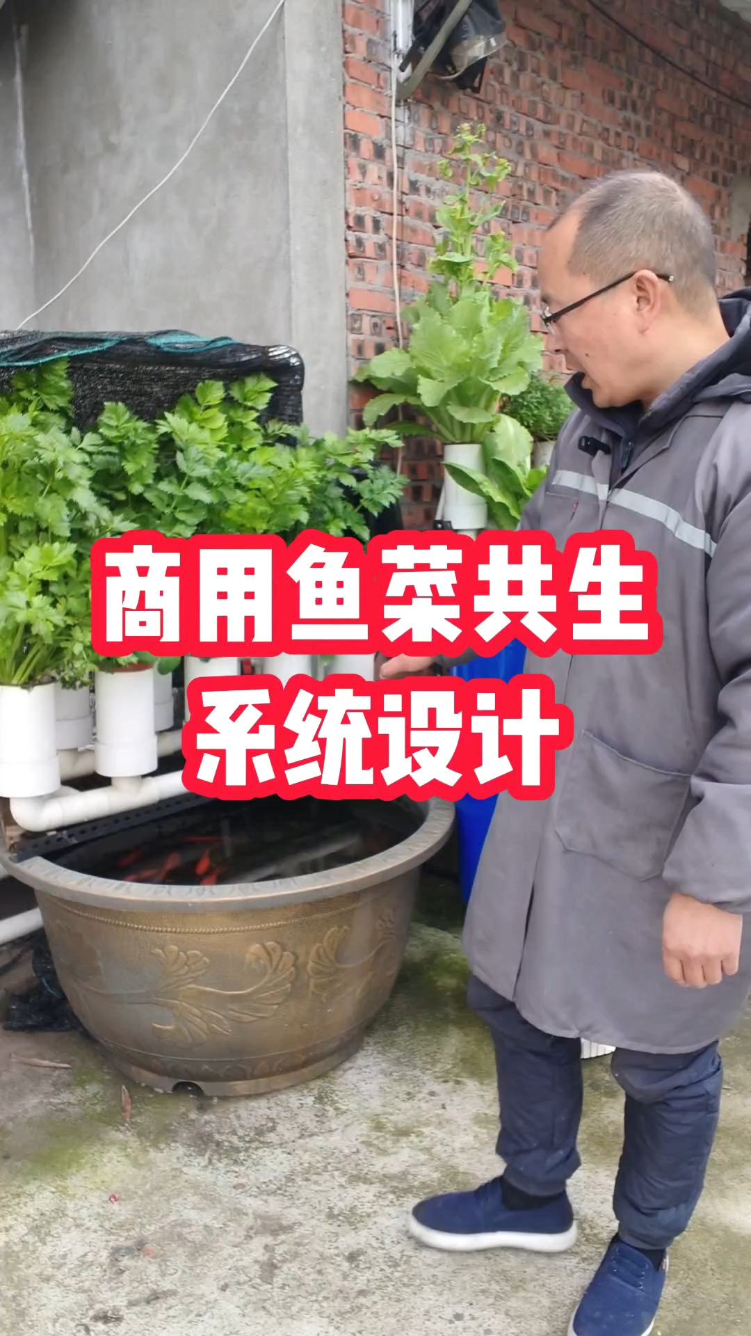 商用鱼菜共生系统设计