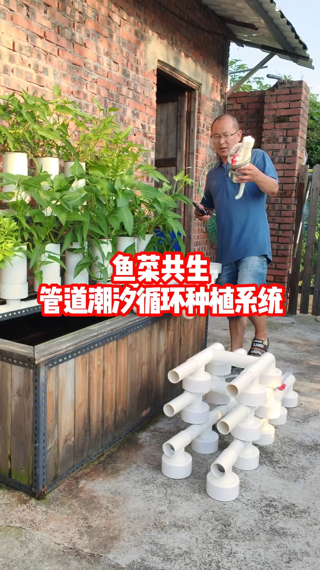 鱼菜共生管道潮汐循环种植系统三大功能