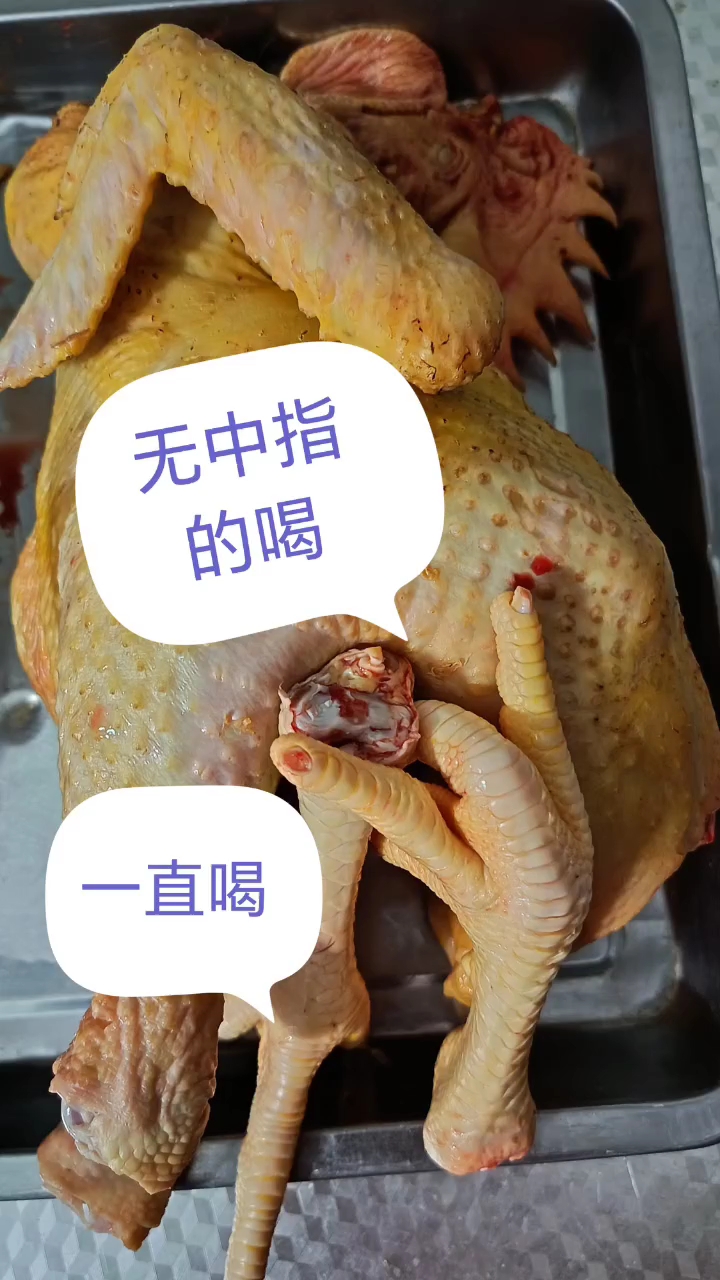 现抓大红公鸡配上咱们婆媳铁锅炖的秘制酱料,加上软糯香甜的土豆