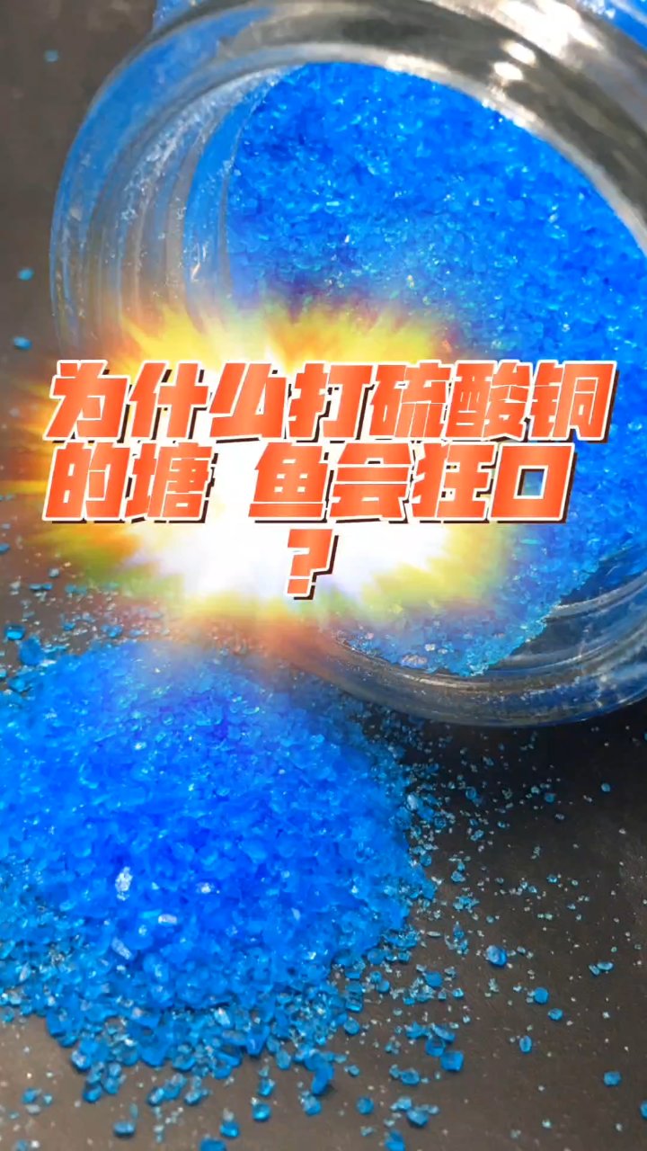 硫酸铜对鱼塘养殖的作用