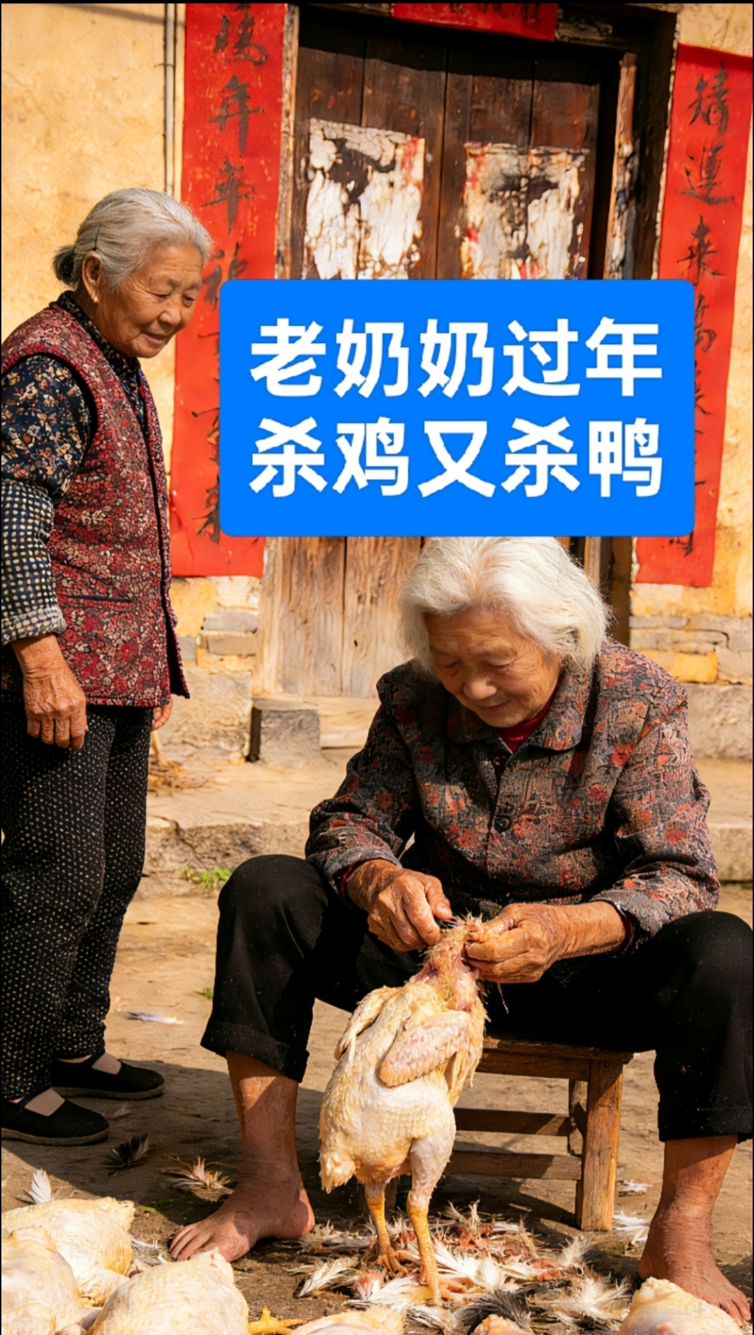 老奶奶过年杀鸡又杀鸭搞笑对话