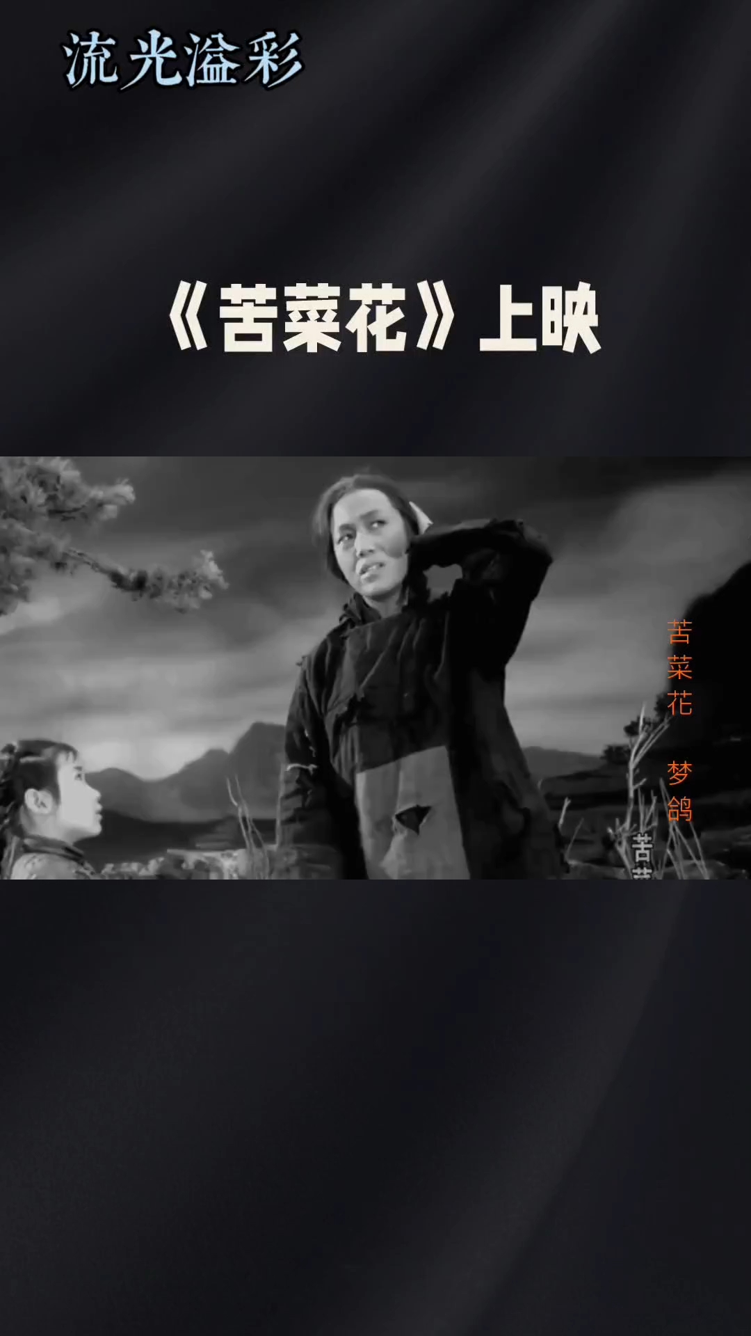 《苦菜花》影评