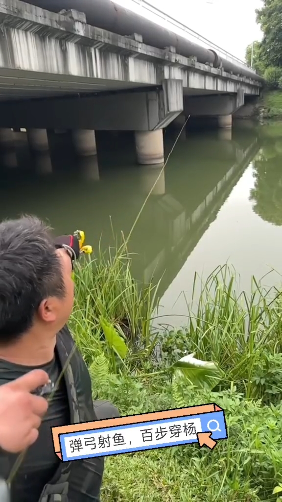 有点东西,弹弓射鱼