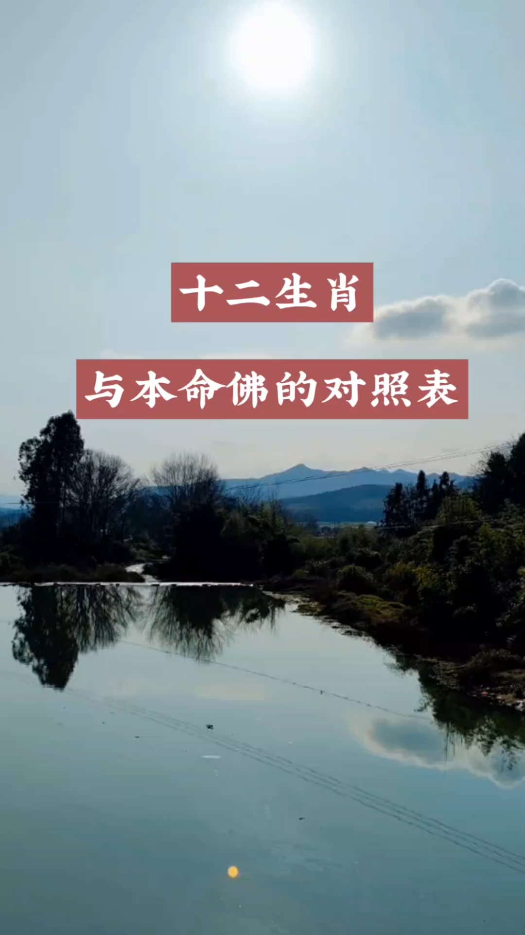 12生肖与本命佛的对照表