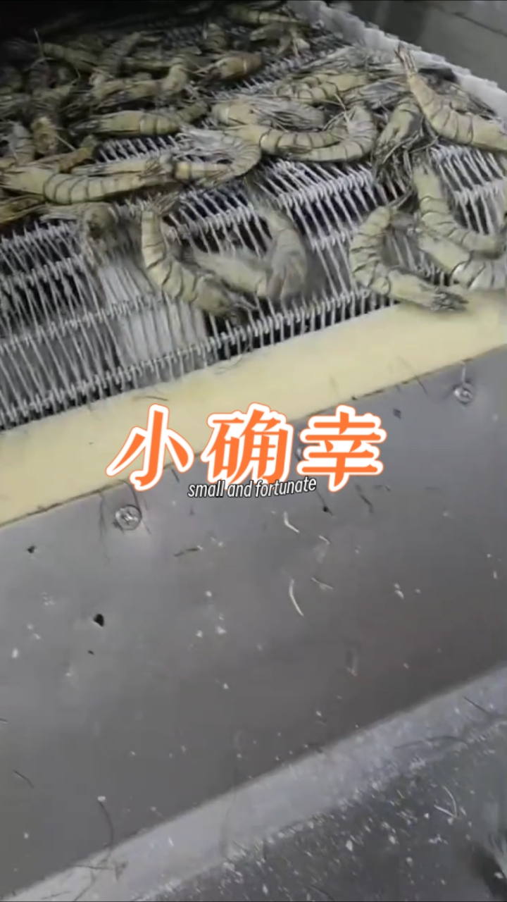 国产单冻,盒装活冻黑虎虾!