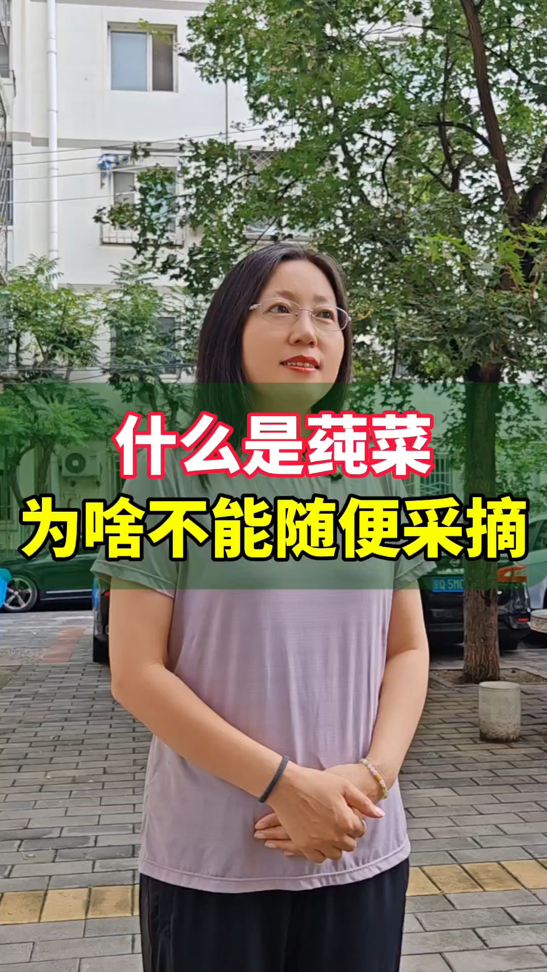 为什么莼菜不能随便采摘？