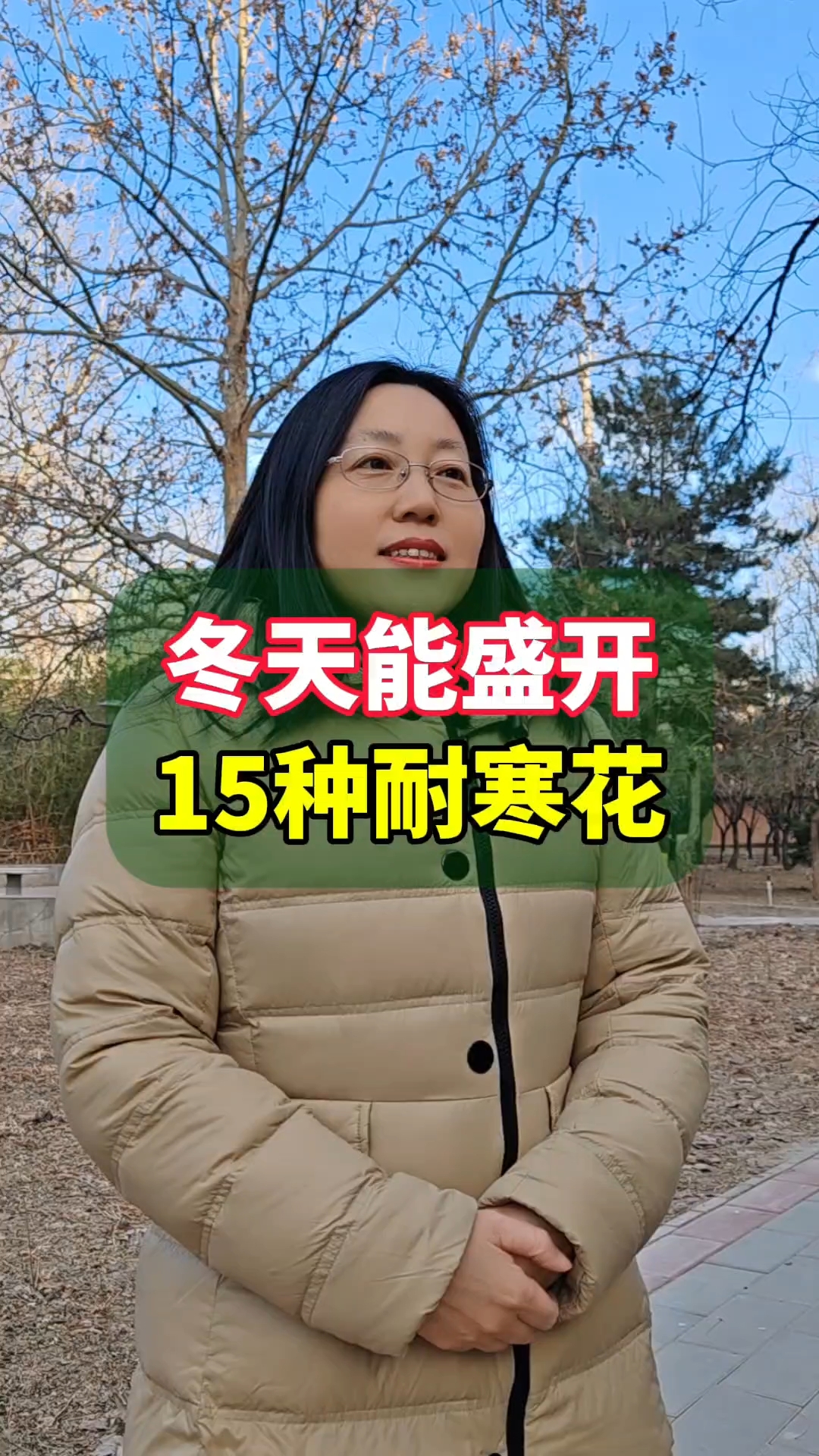 冬天也能盛开的15种耐寒花