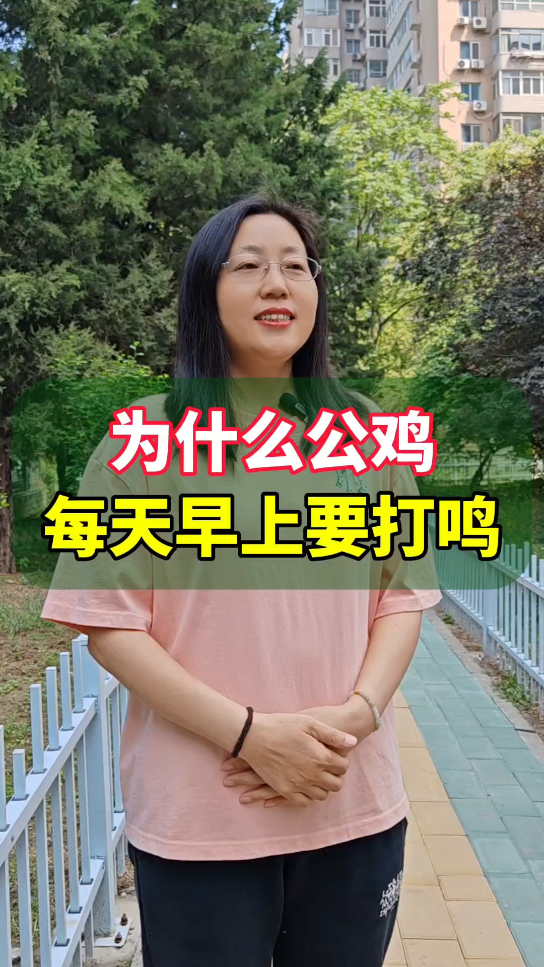 为什么公鸡每天早上要打鸣?