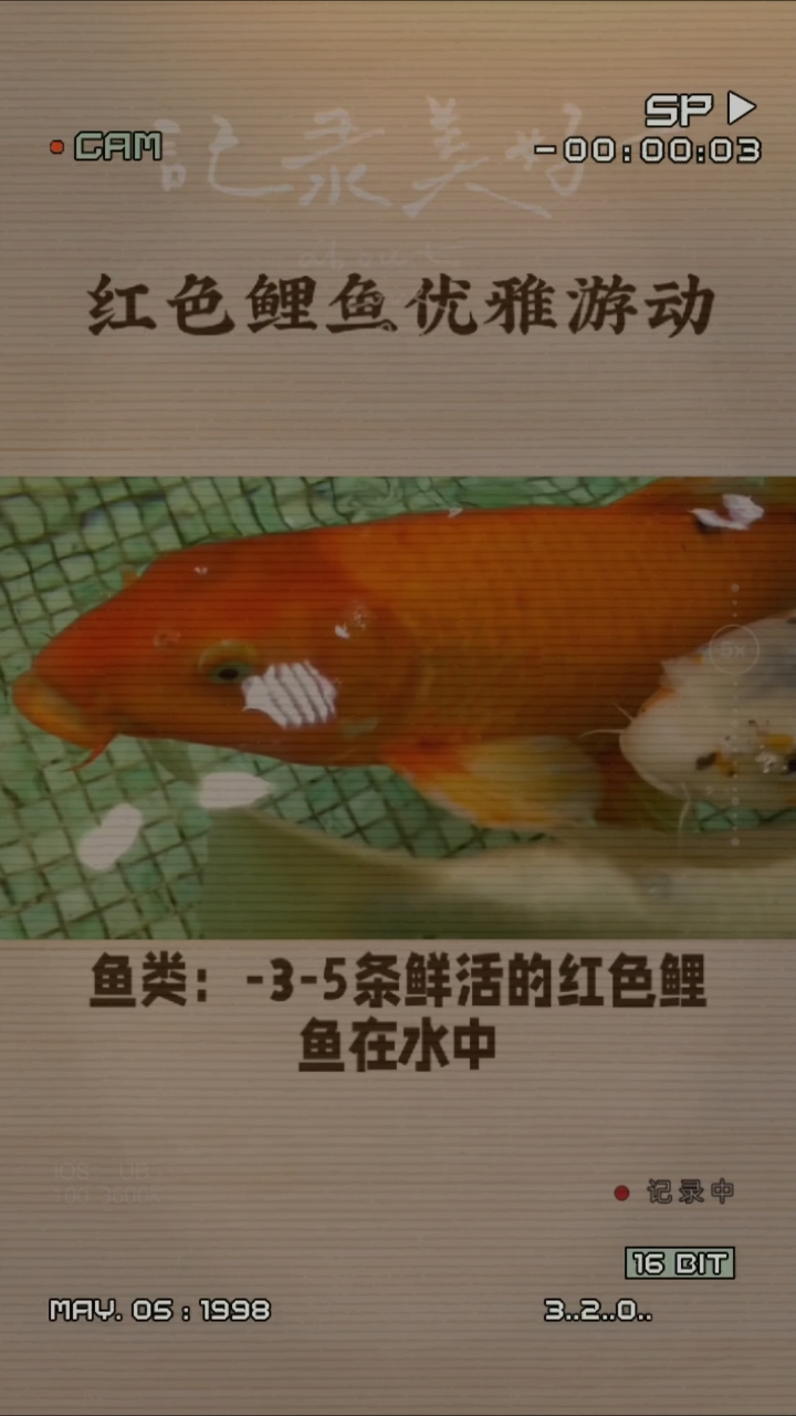 分享视频