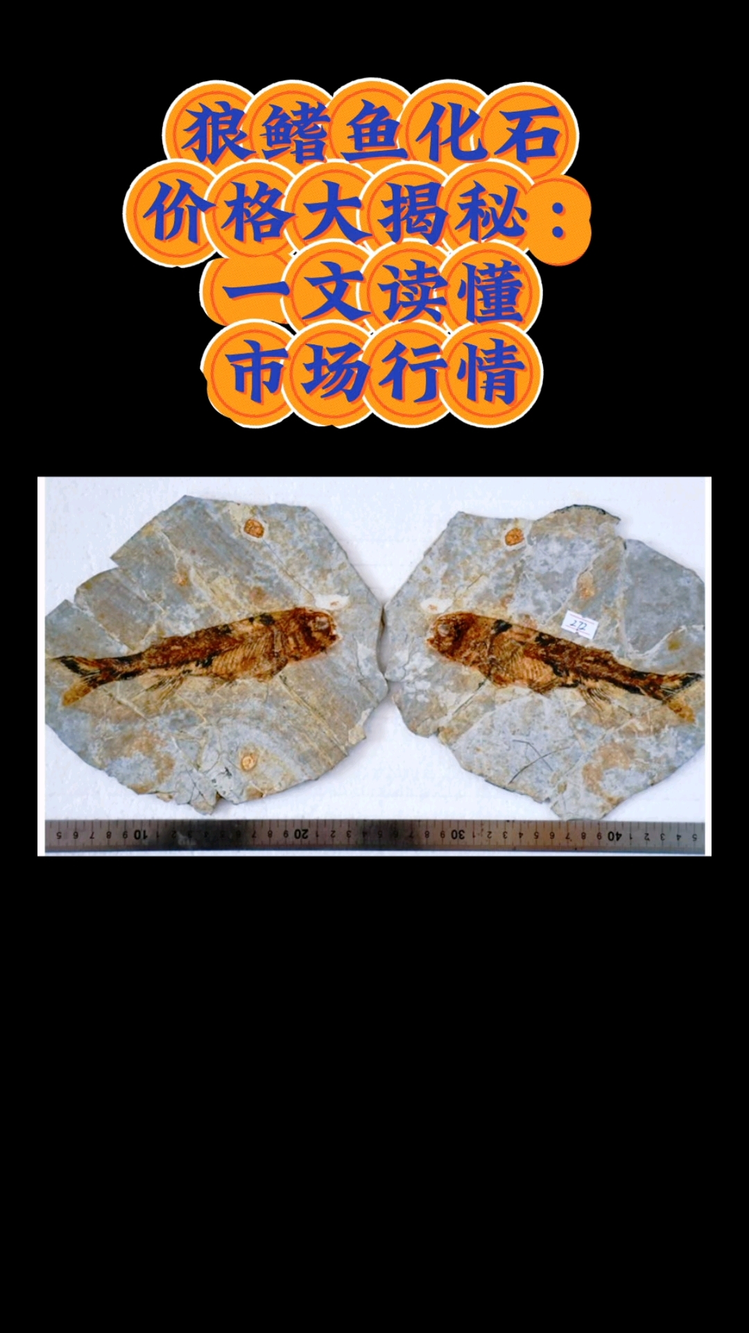 分享视频