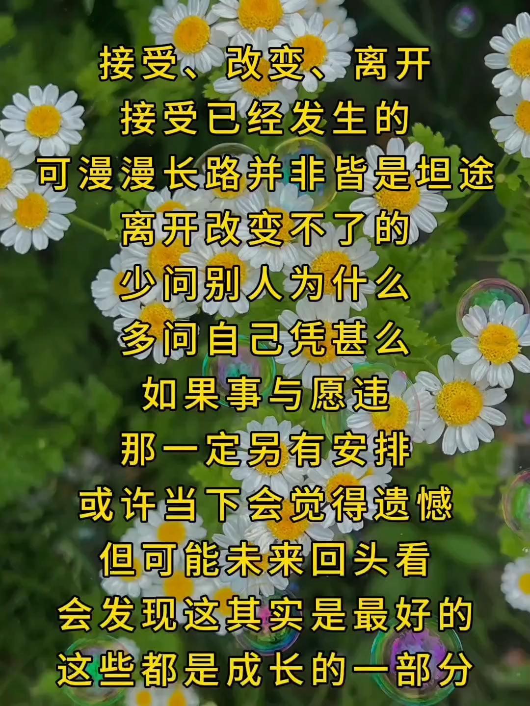 #成长必经之路# #心灵鸡汤# #治愈系文字#