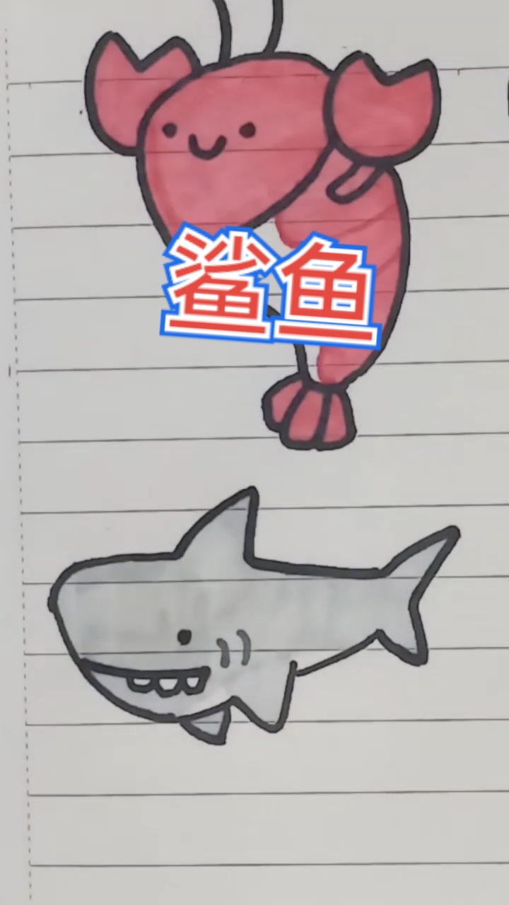 【简笔画小鲨鱼】