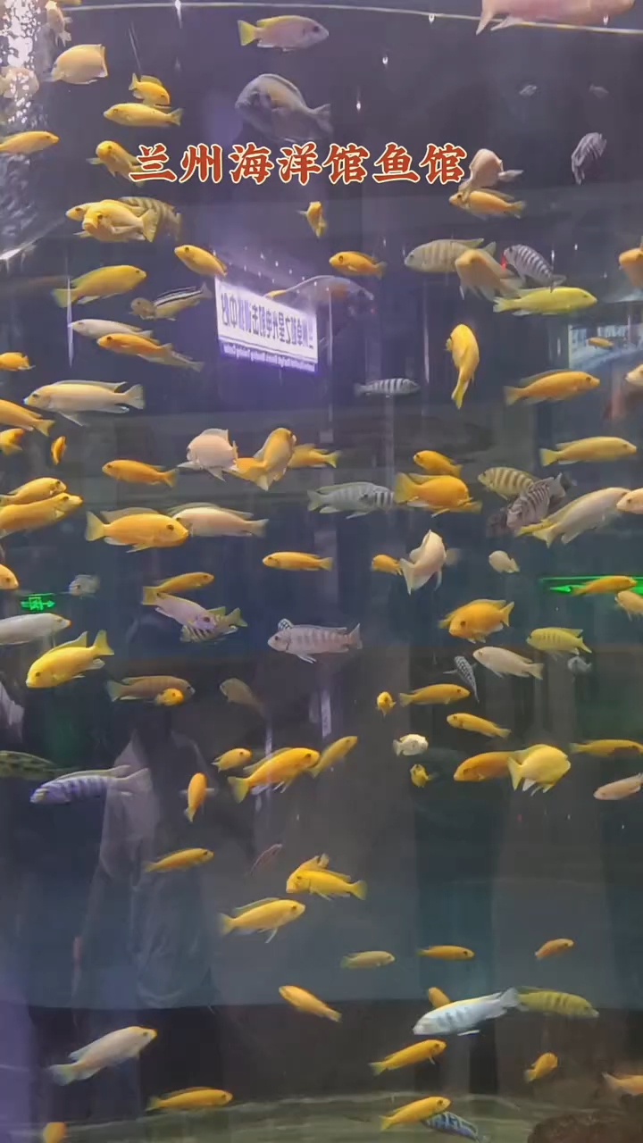 兰州海洋馆鱼馆